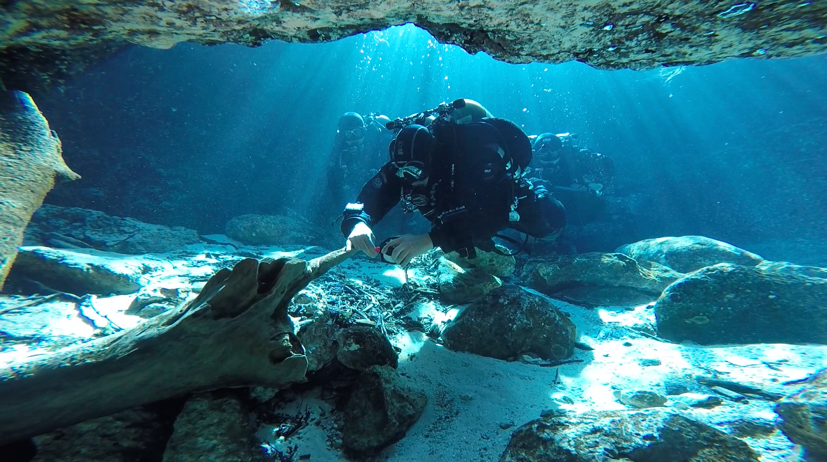 cave diving course at ginnie springs florida